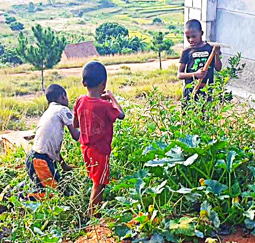Jardins et activités autour de la terre